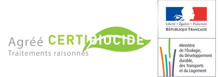 Ni Guêpes Ni Frelons 49 - logo Certibiocide